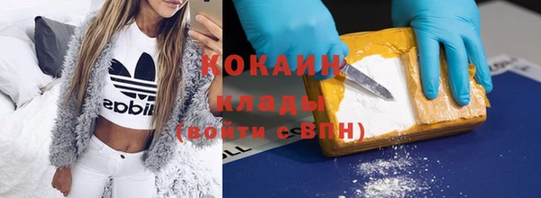 индика Бородино