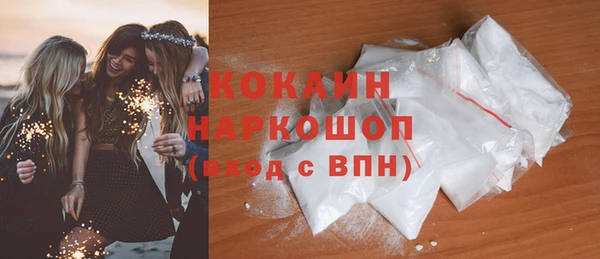 индика Бородино