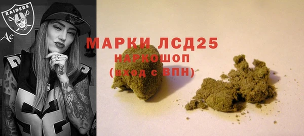 молекула духа Богданович