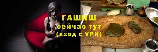 молекула духа Богданович