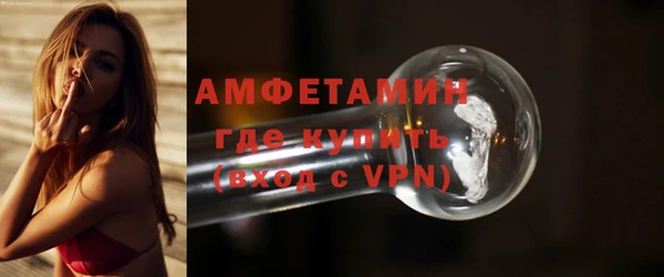 индика Бородино