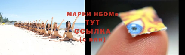 молекула духа Богданович