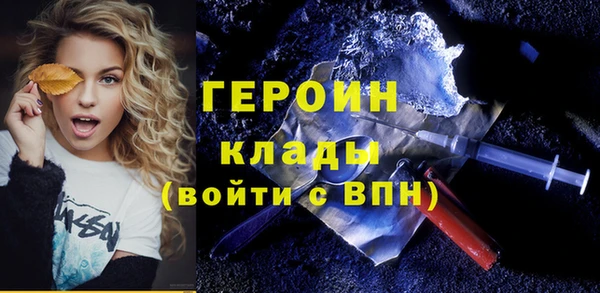 индика Бородино