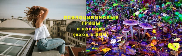 скорость mdpv Богородицк
