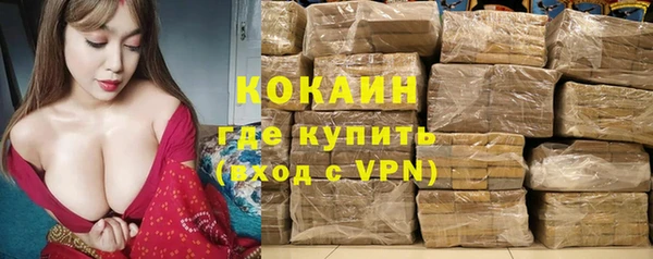 бошки Бронницы