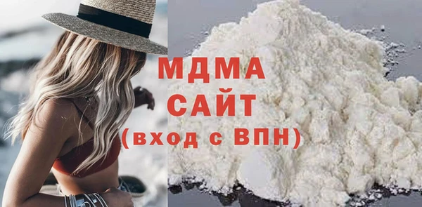 молекула духа Богданович