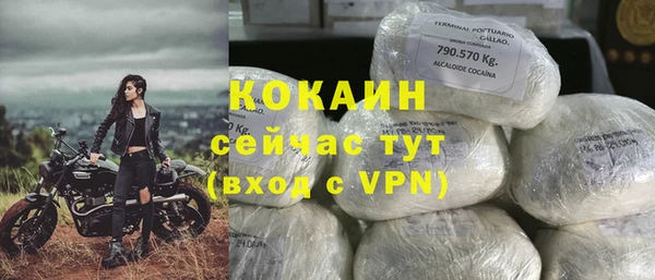 индика Бородино