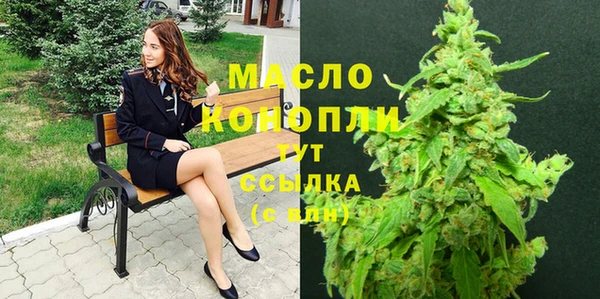 молекула духа Богданович