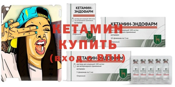 молекула духа Богданович