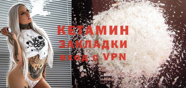 индика Бородино
