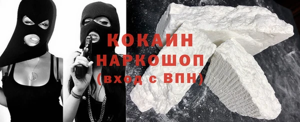 бошки Бронницы